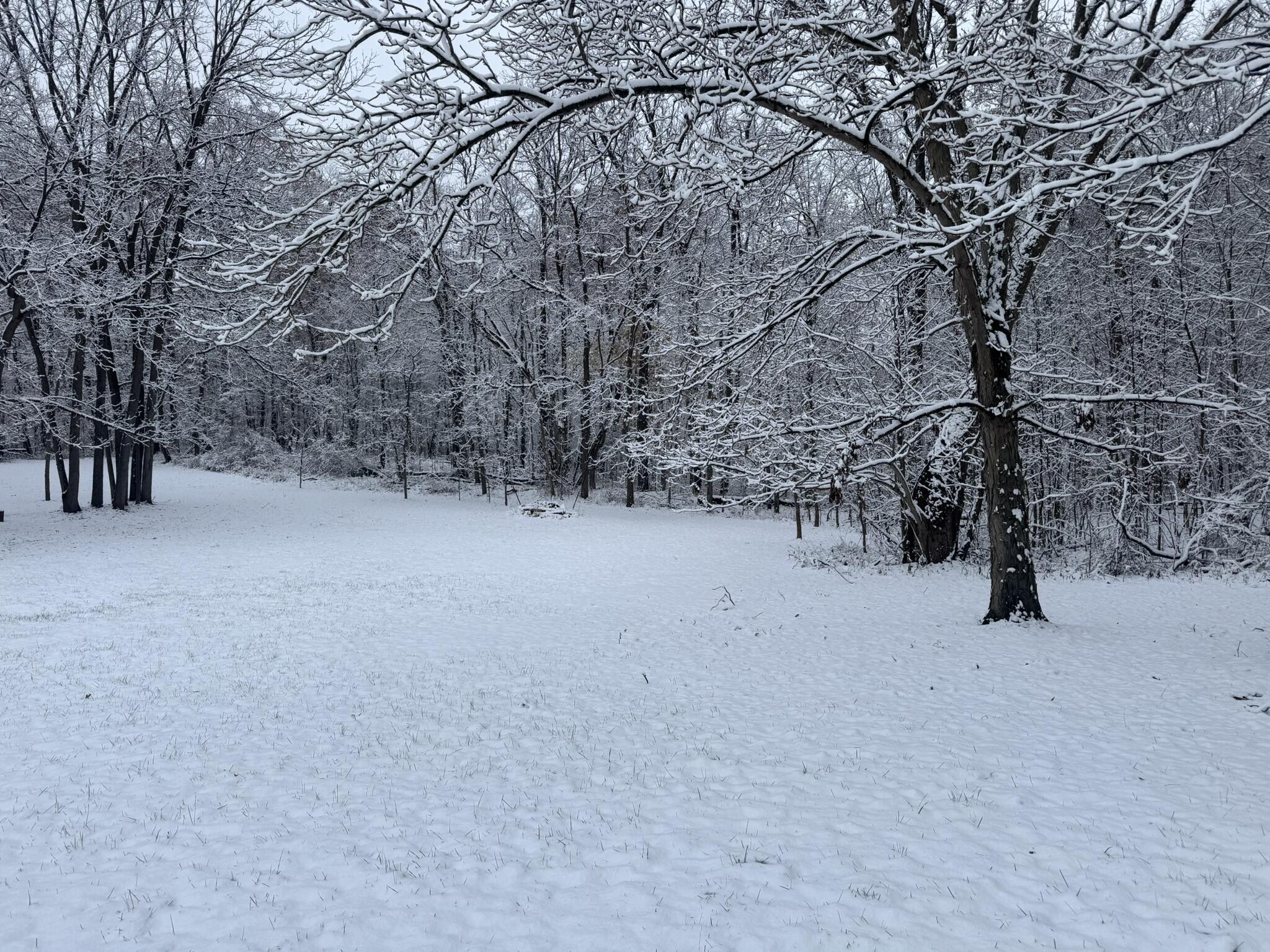 12441 Town Road Parma, MI 49269 - Photo 29 of 31 IMG_7820