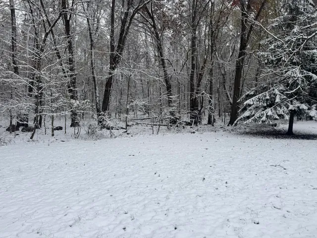 $275,000 | 12441 Town Road, Parma, MI 49269