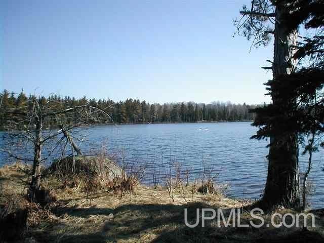 Tbd West Paint Lake Road, Unit J Iron River, MI 49935 - Photo 4 of 17