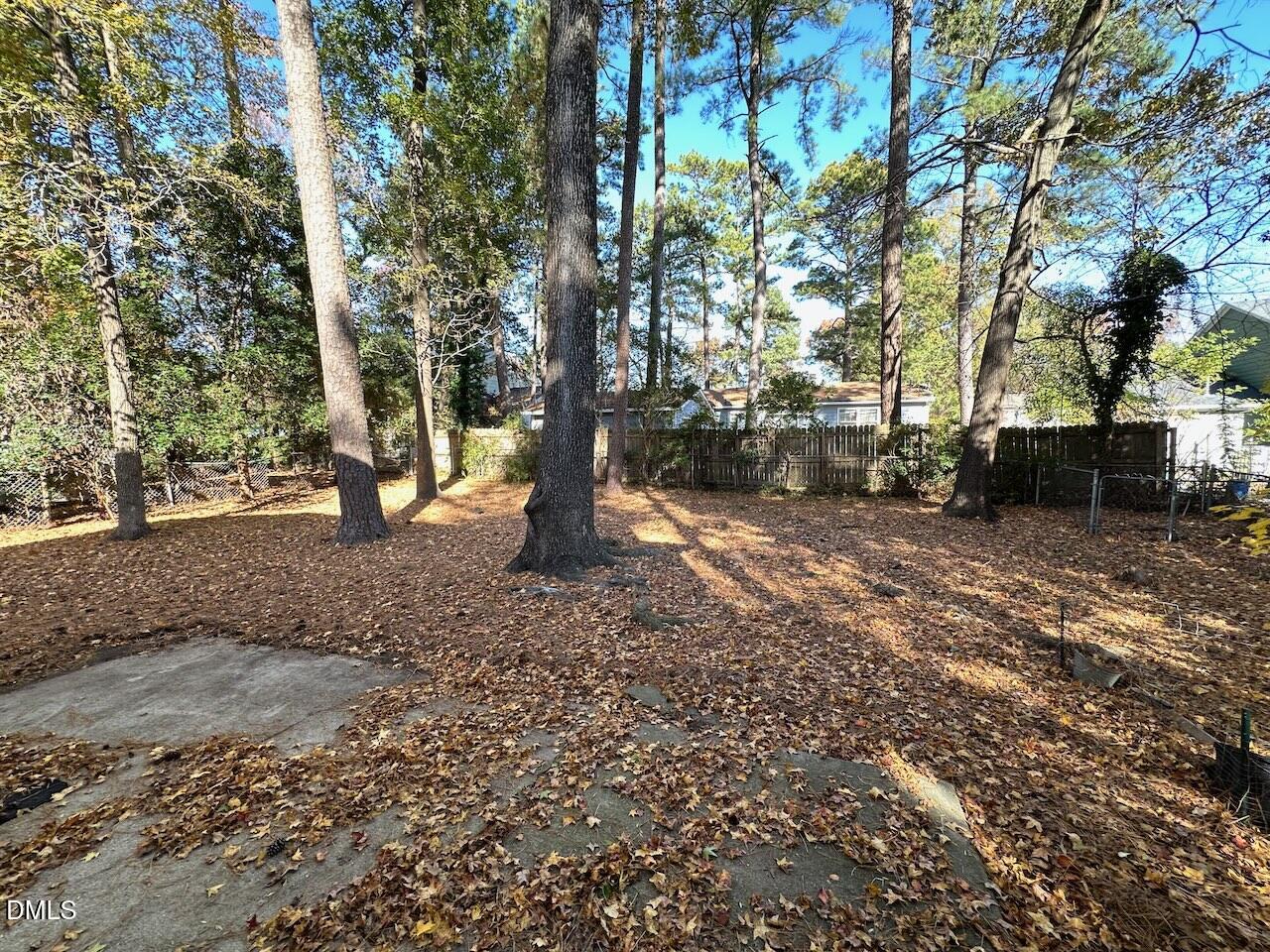 3717 Sue Ellen Drive Raleigh, NC 27604 - Photo 19 of 20 a view of a yard with a tree