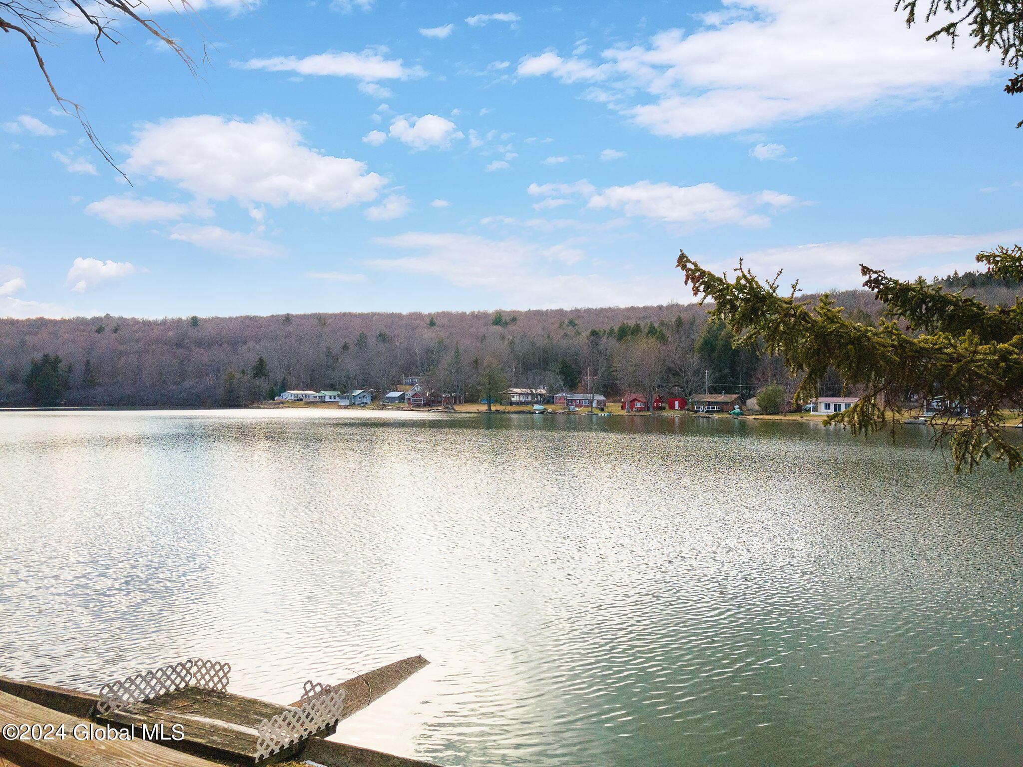 311 Bear Gulch Road Summit, NY 12175 - Photo 3 of 47 4-web-or-mls-311BearGulchRd_04