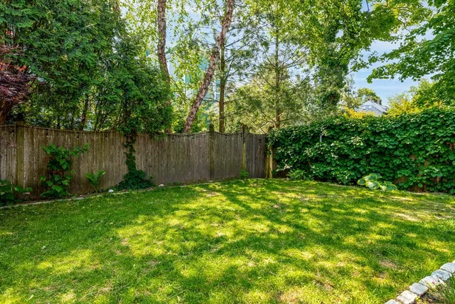 a view of a back yard