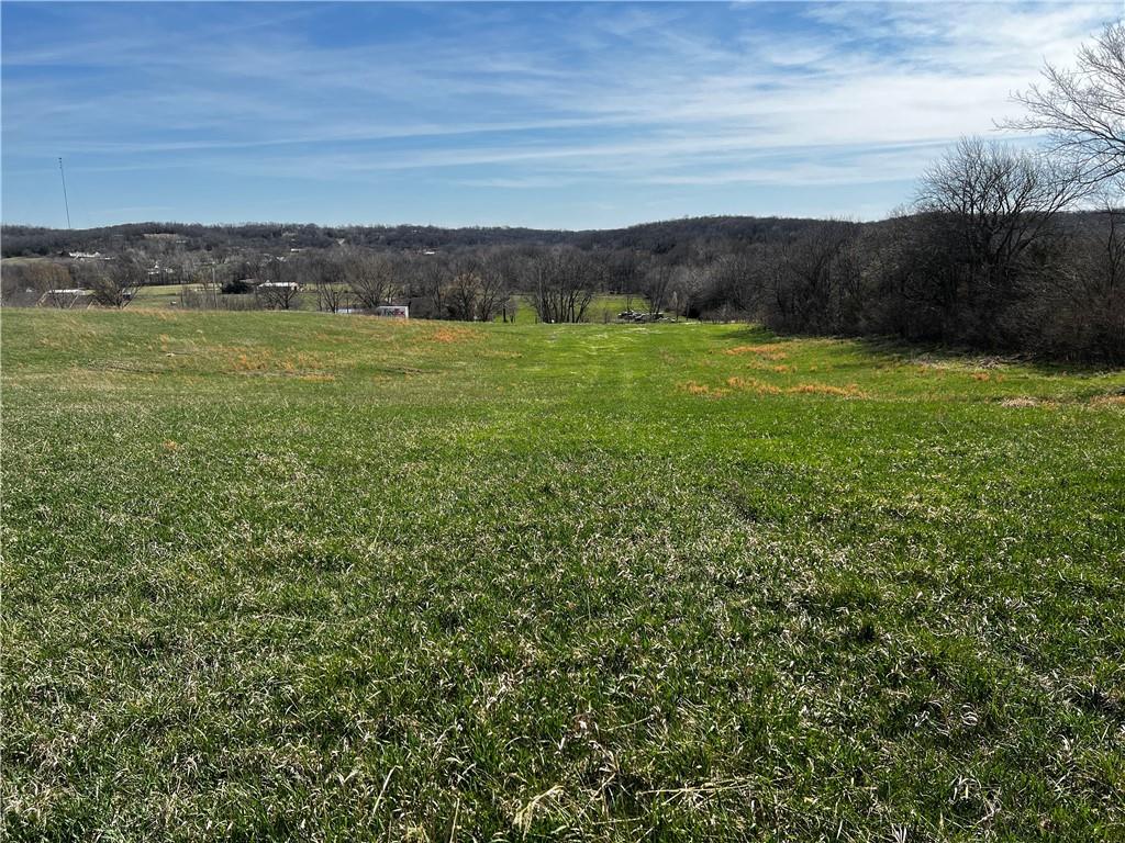 Lot 2 Kissinger Road Leavenworth, KS 66048 - Photo 11 of 18