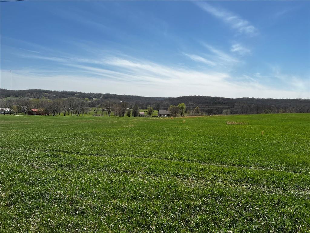Lot 2 Kissinger Road Leavenworth, KS 66048 - Photo 17 of 18