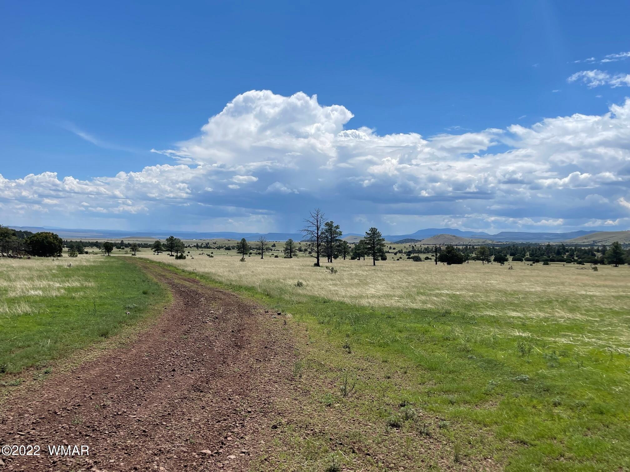 3 County Road Greer, AZ 85927 - Photo 2 of 6 a view of a field with an ocean