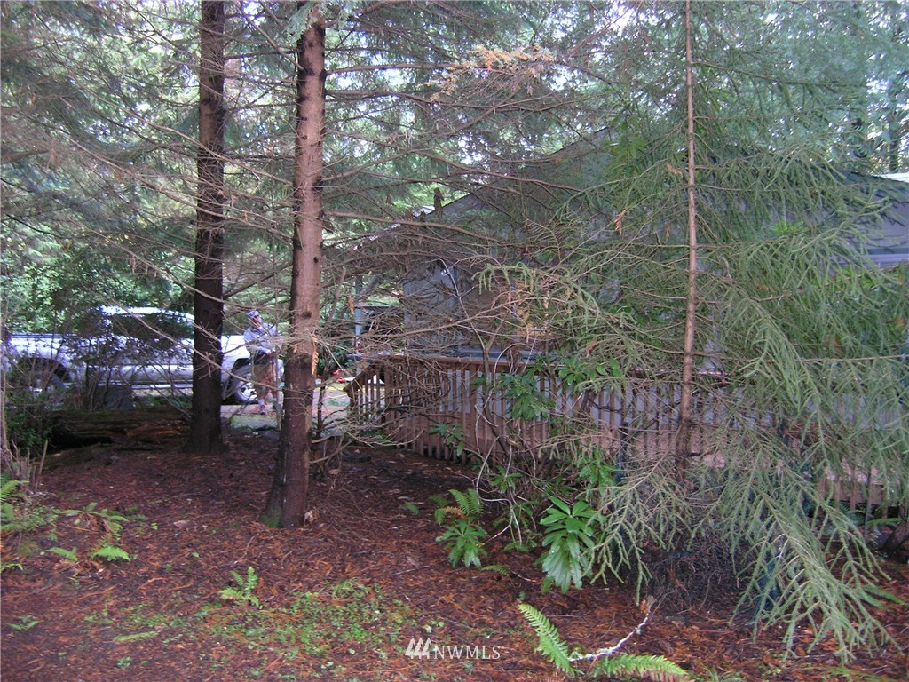 102 Liberty Road Shelton, WA 98584 - Photo 4 of 25 Gallery Image 4