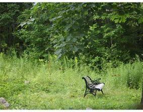 428 Meetinghouse Road Wells, ME 04090 - Photo 16 of 16 Relax and enjoy nature on your 5+ acres.