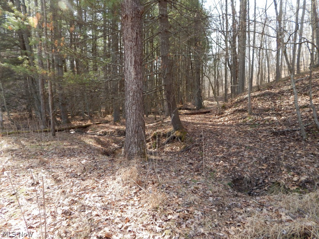 Off Sengtown Road Smithville, WV 26178 - Photo 7 of 18