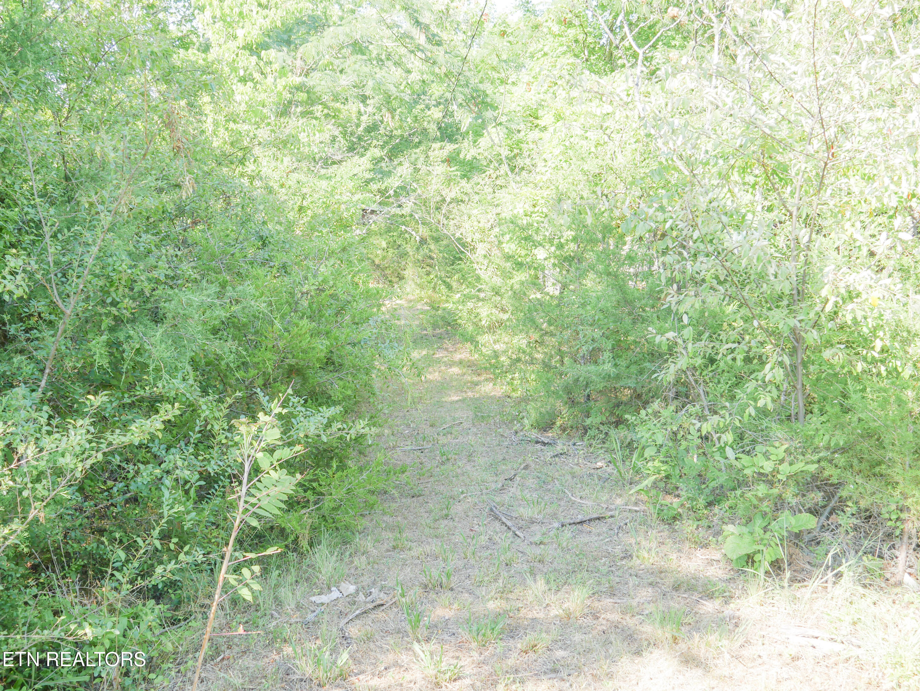 1798 Rauhuff Hollow Road Sevierville, TN 37876 - Photo 4 of 10 4-P1020343