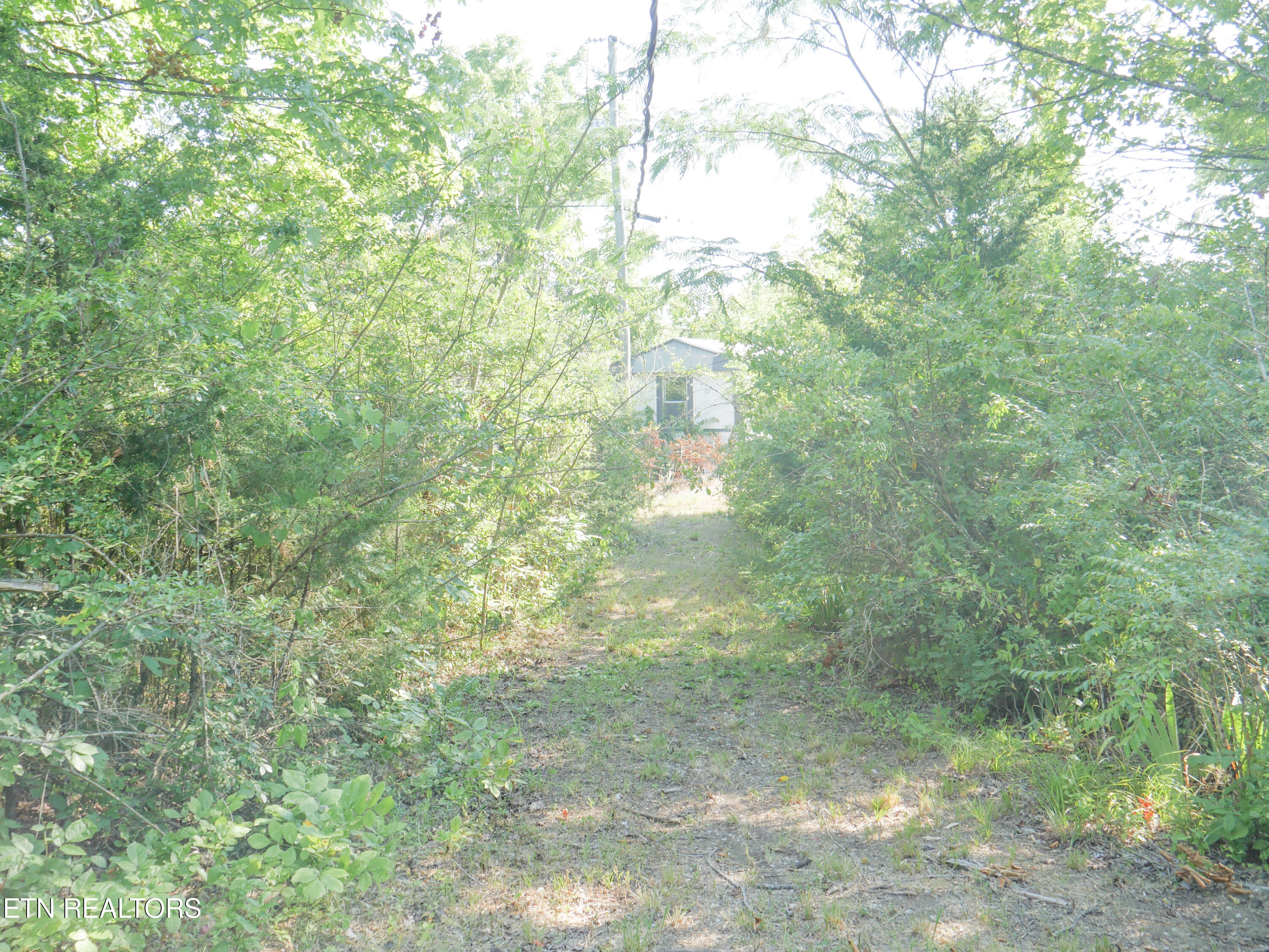 1798 Rauhuff Hollow Road Sevierville, TN 37876 - Photo 5 of 10 5-P1020337