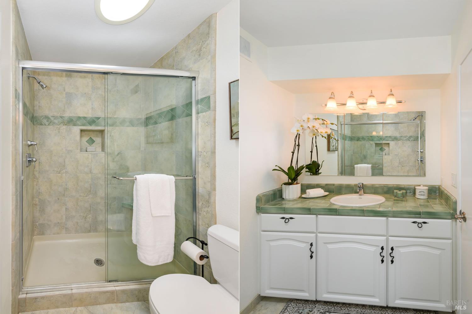 36 Schmidt Lane San Rafael, CA 94903 - Photo 28 of 31 a bathroom with a granite countertop sink toilet and shower