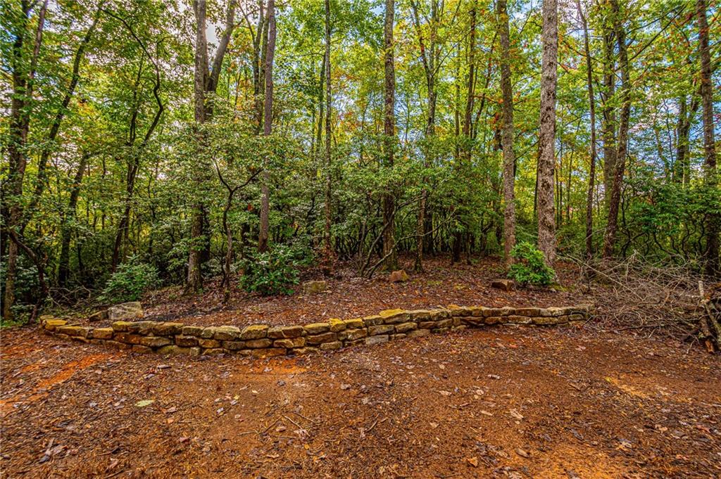 1038 Wilkins Cove Road Suches, GA 30572 - Photo 61 of 89