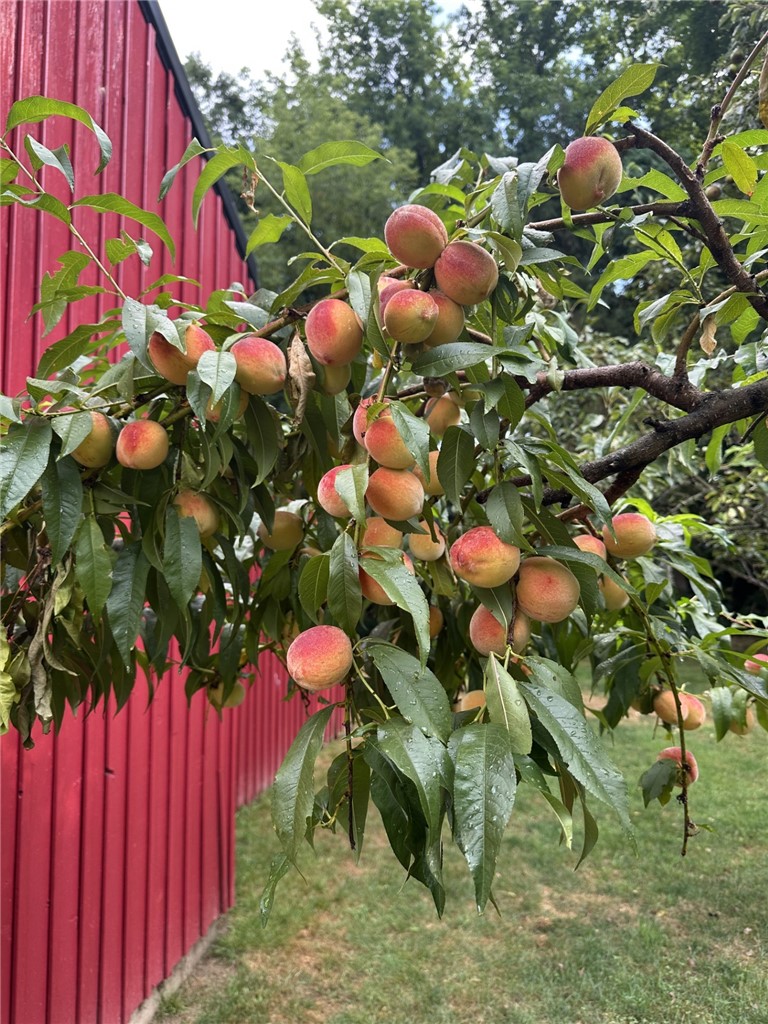 213 Ayrault Road Perinton, NY 14450 - Photo 48 of 50