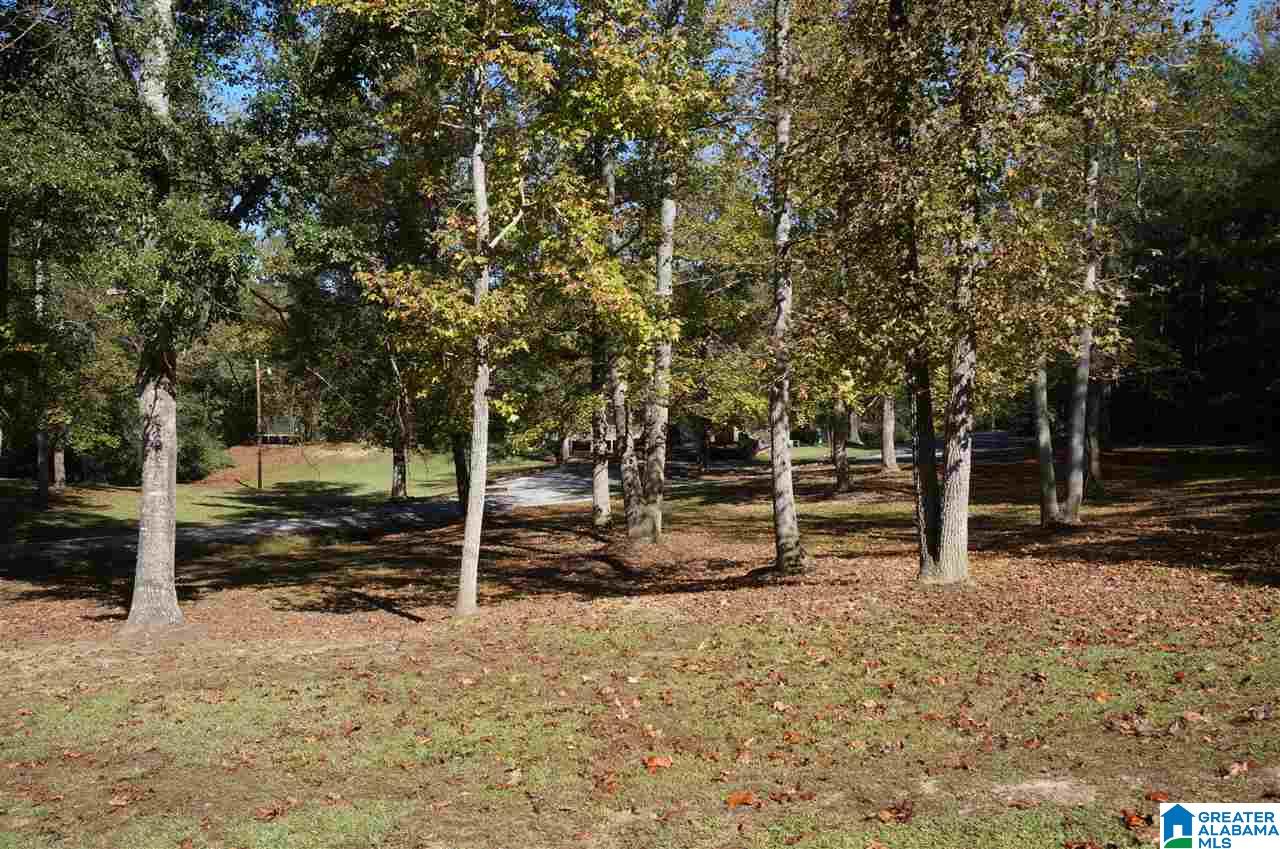 130 Creek Grove Road Cleveland, AL 35049 - Photo 2 of 49