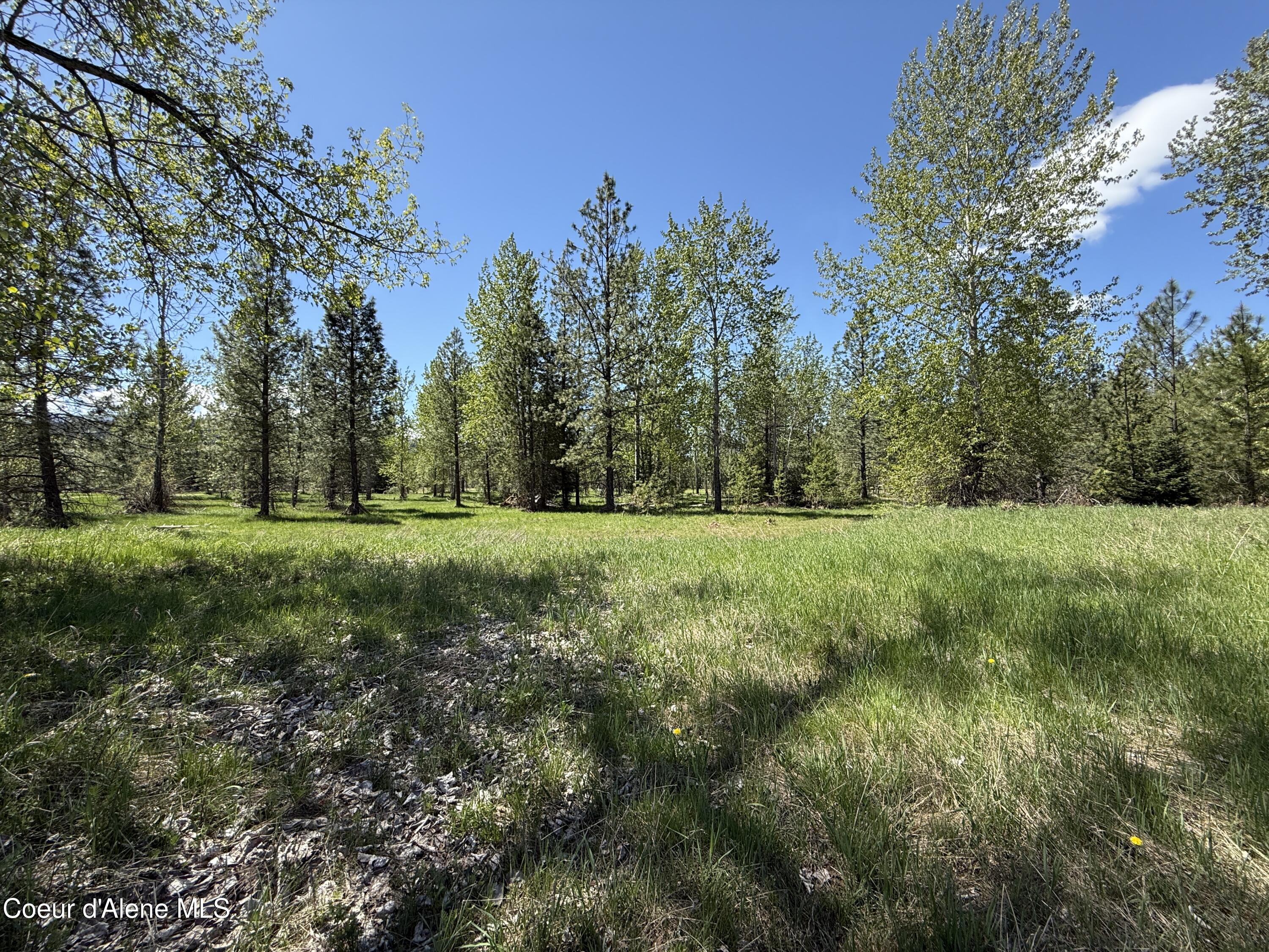968 Ranch Road Kingston, ID 83839 - Photo 19 of 26 19