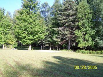 17818 11 Mile Road Leroy, MI 49655 - Photo 5 of 5 Additional Photo