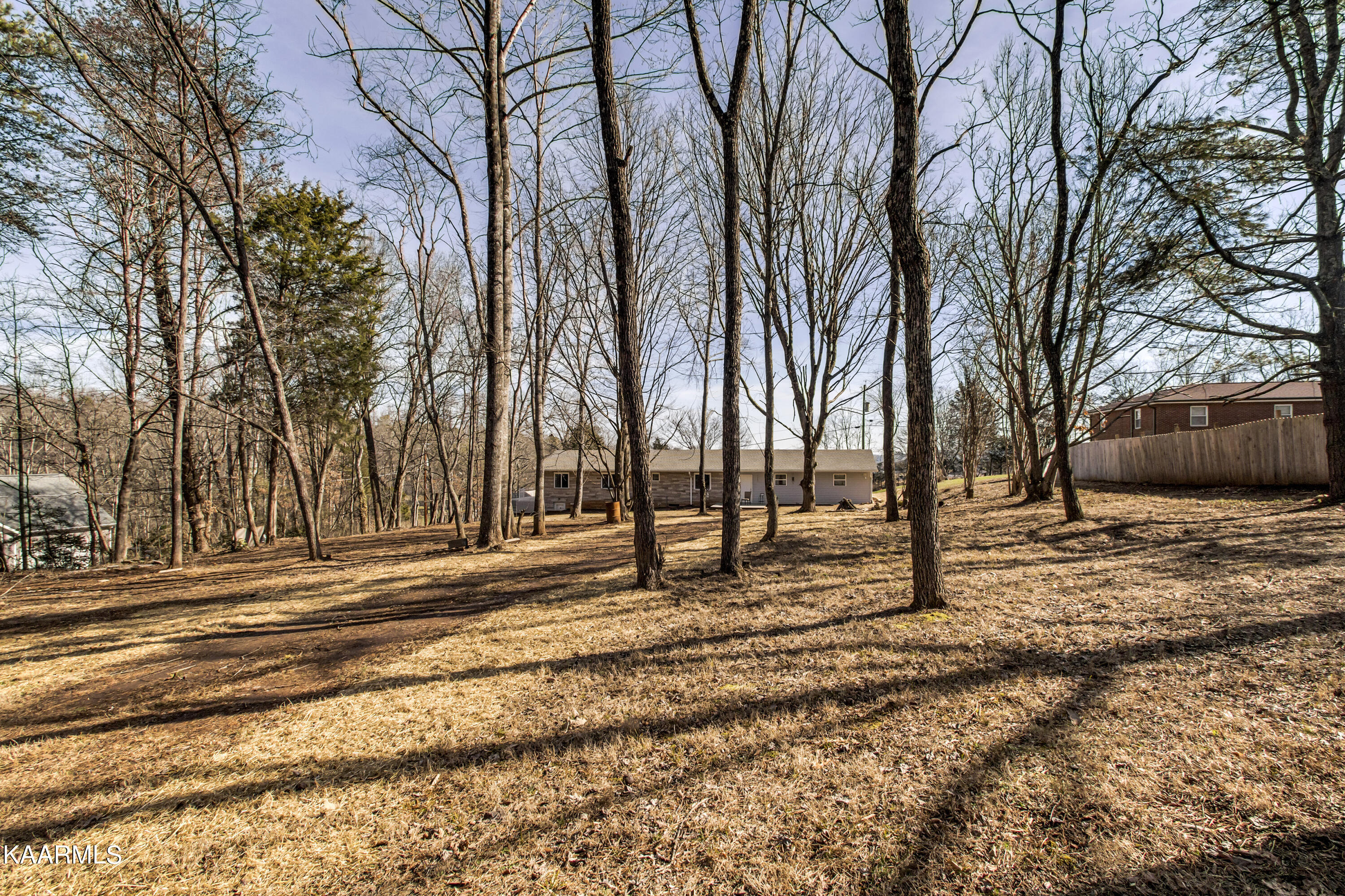 673 Chilhowee School Road Seymour, TN 37865 - Photo 40 of 47 40_ChilhoweeSchoolRoad_673_Backyard02