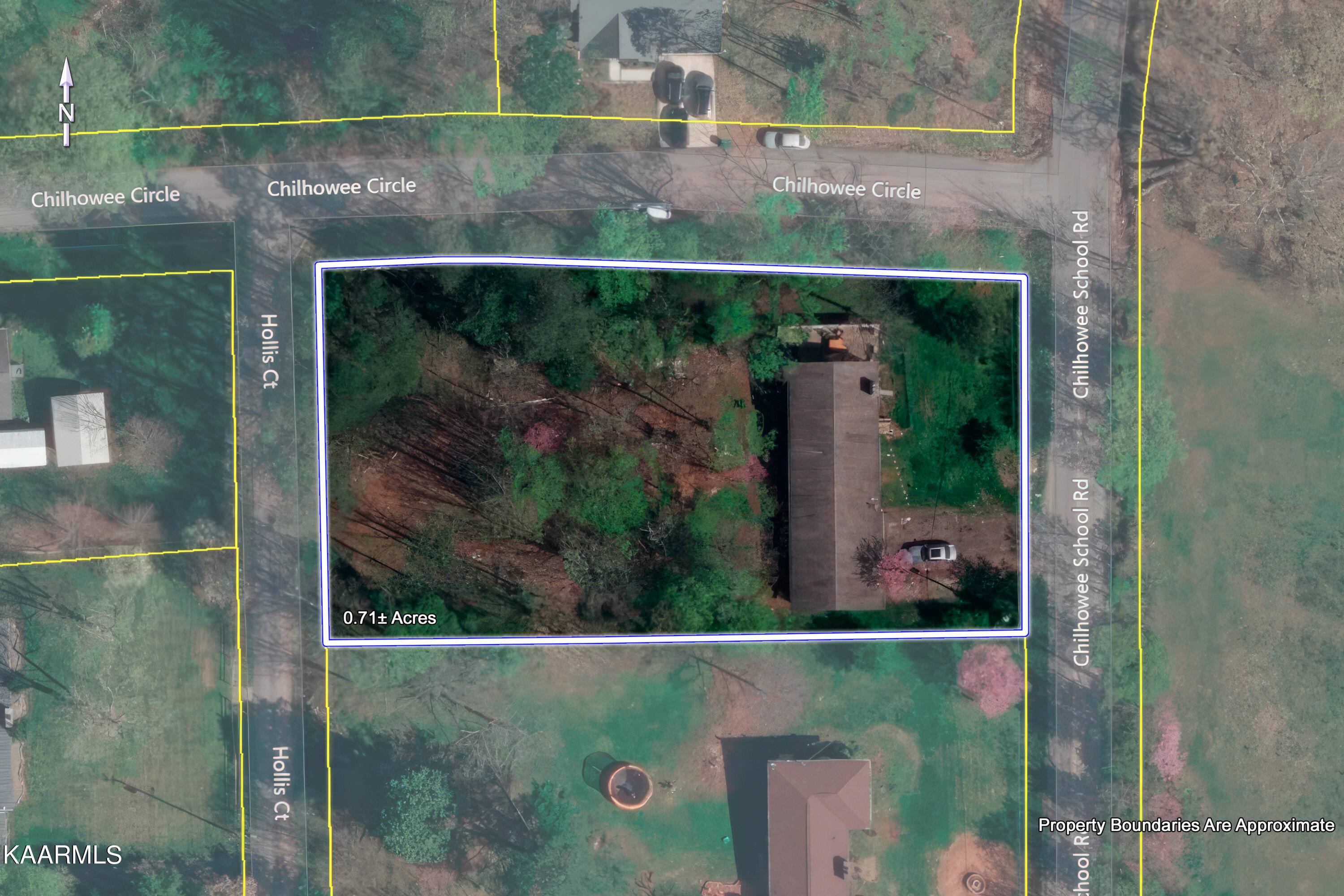 673 Chilhowee School Road Seymour, TN 37865 - Photo 47 of 47 47_ChilhoweeSchoolRoad_673_SatellitePlat