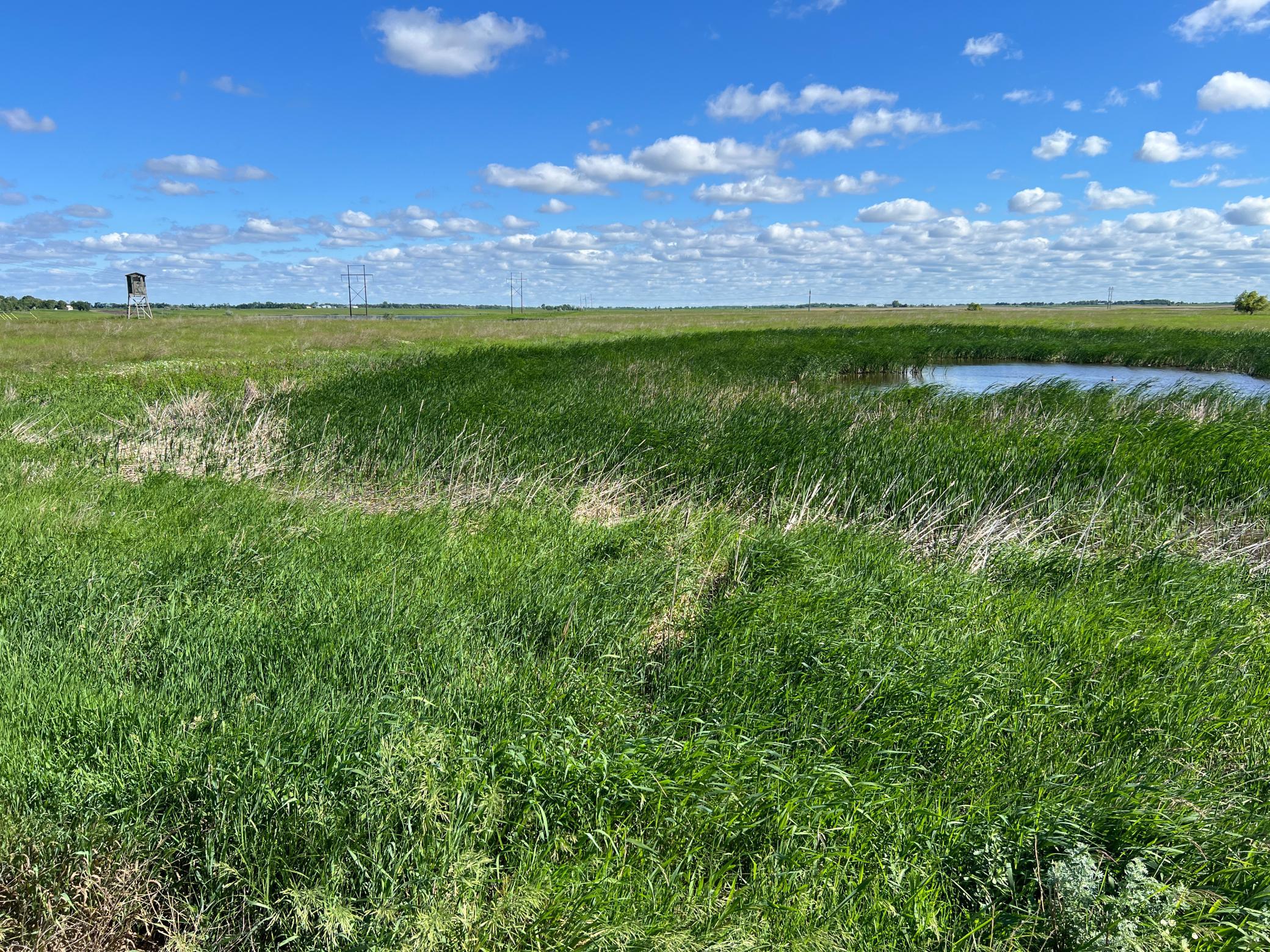 Tbd Southeast Tbd Se 90th Street Rutland, ND 58067 - Photo 56 of 105