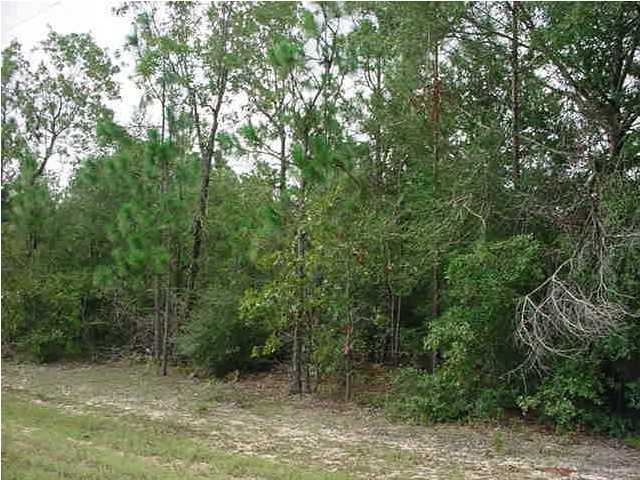 Lot 22 Hinote Road DeFuniak Springs, FL 32433 - Photo 5 of 6 a view of a forest with trees in the background