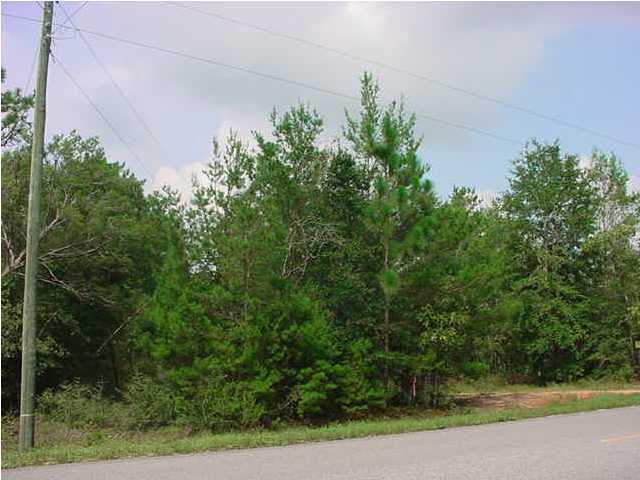 Lot 22 Hinote Road DeFuniak Springs, FL 32433 - Photo 6 of 6 a view of a yard with plants and large trees
