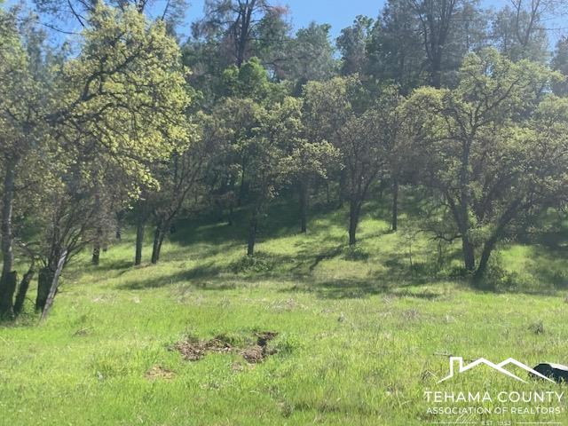 16587 Stagecoach Road Corning, CA 96021 - Photo 4 of 5 a backyard of a house with lots of green space
