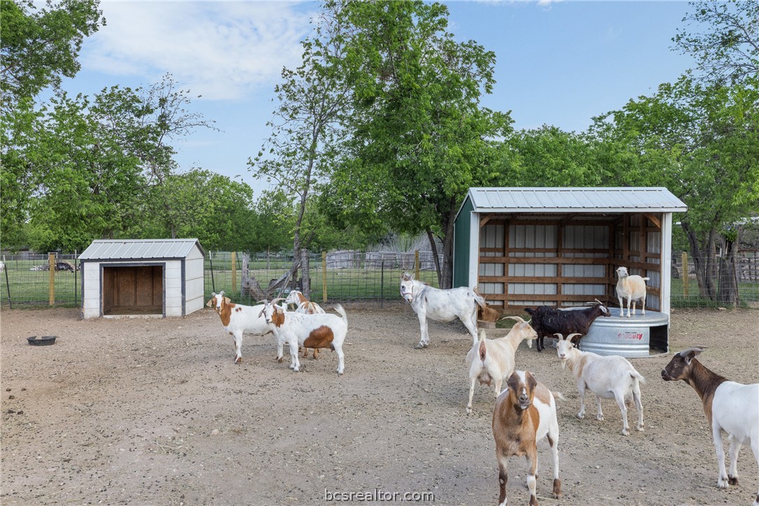 203 Saffle Road Robinson, TX 76706 - Photo 20 of 38