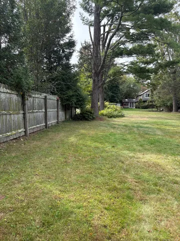 a view of a tree in a yard