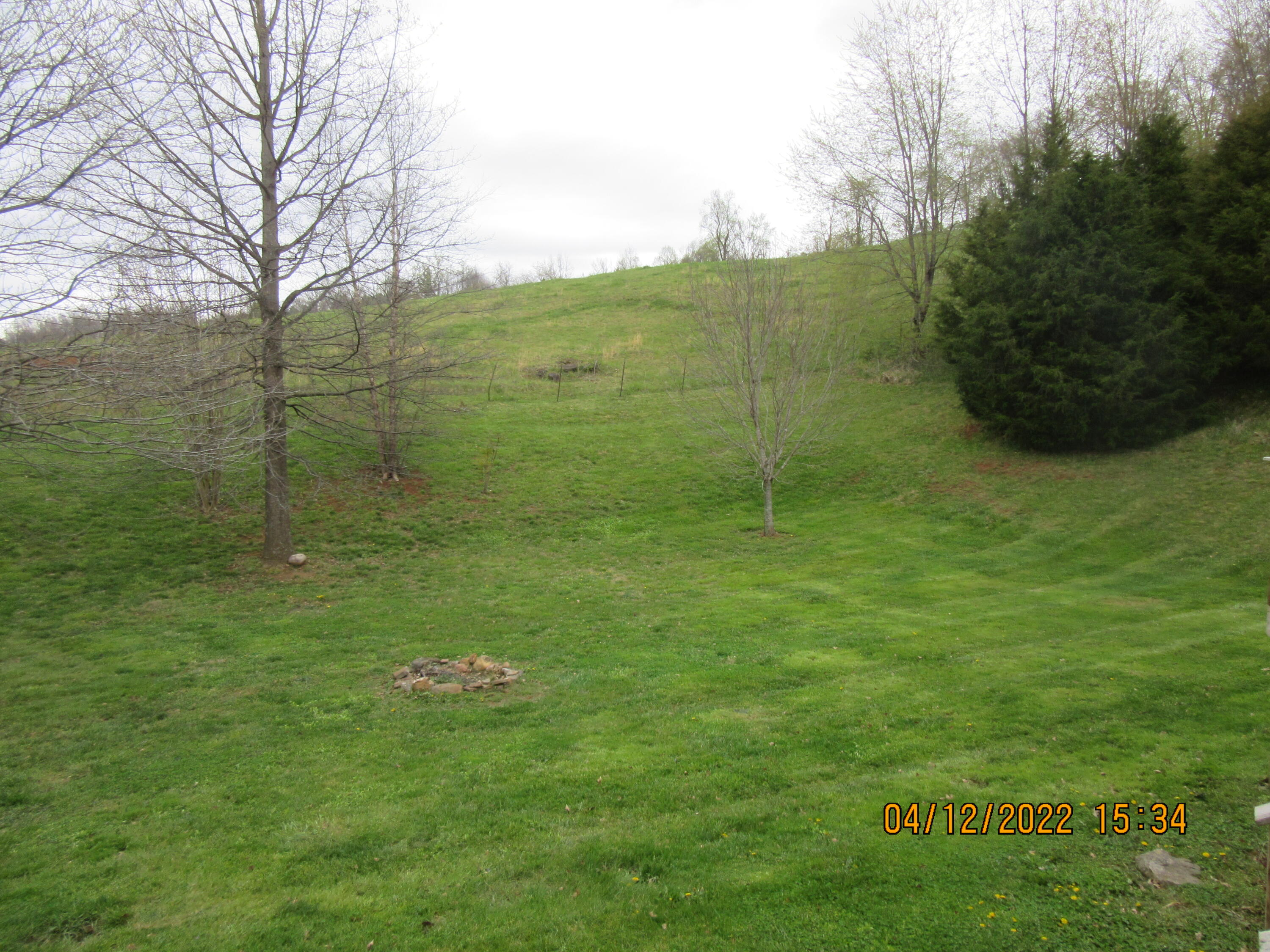 2011 Siam Road Elizabethton, TN 37643 - Photo 44 of 49 IMG_4428