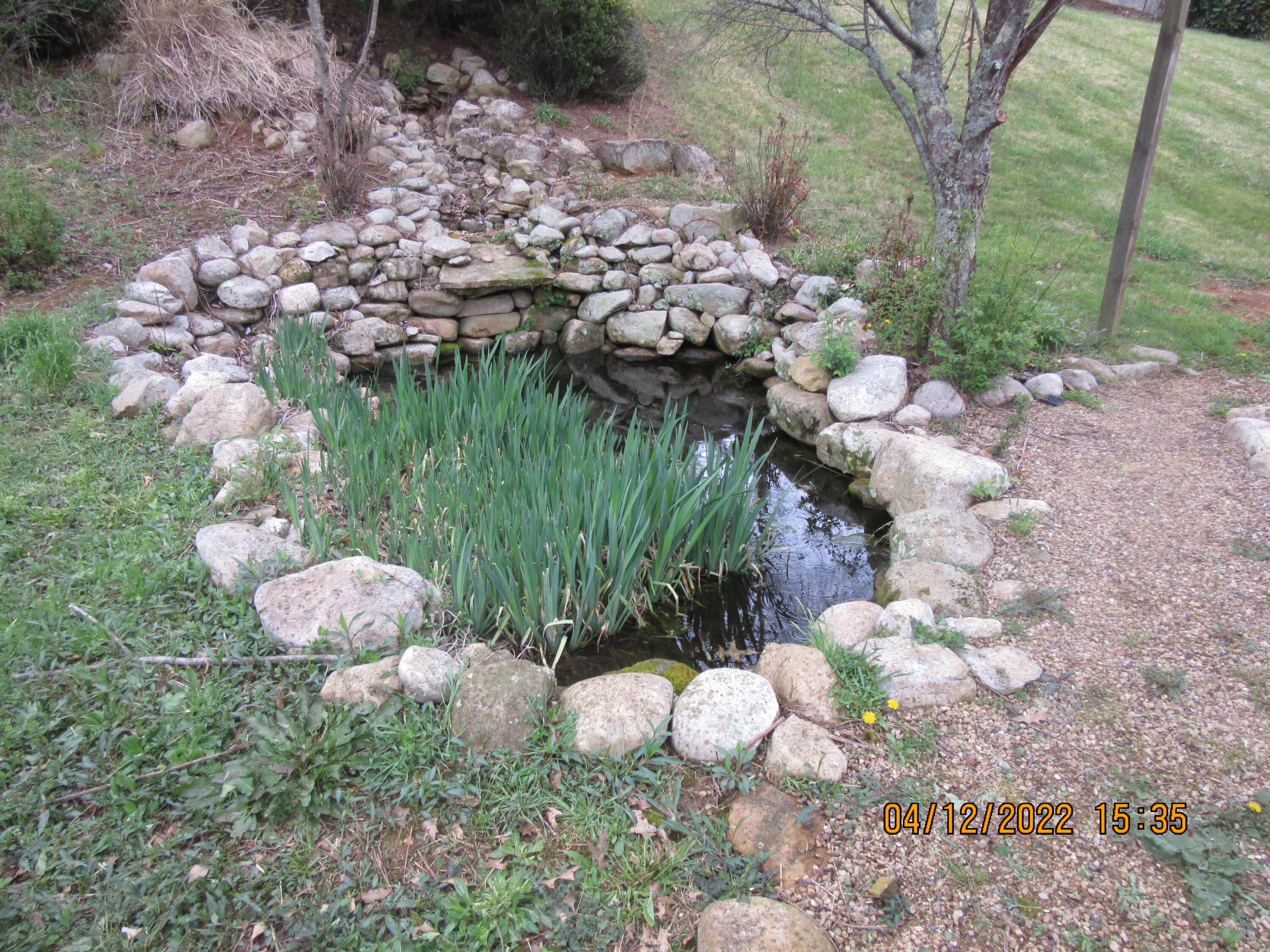 2011 Siam Road Elizabethton, TN 37643 - Photo 49 of 49 IMG_4432