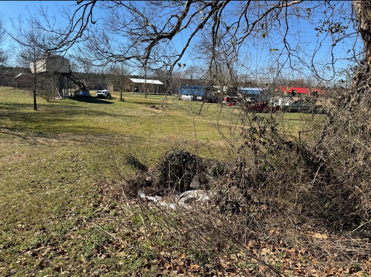 0 Bellis Road Savannah, TN 38372 - Photo 3 of 5 View of yard