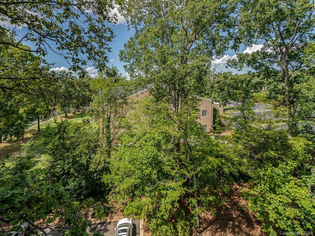950 Cherokee Road Charlotte, NC 28207 - Photo 24 of 27 Gallery Image 24