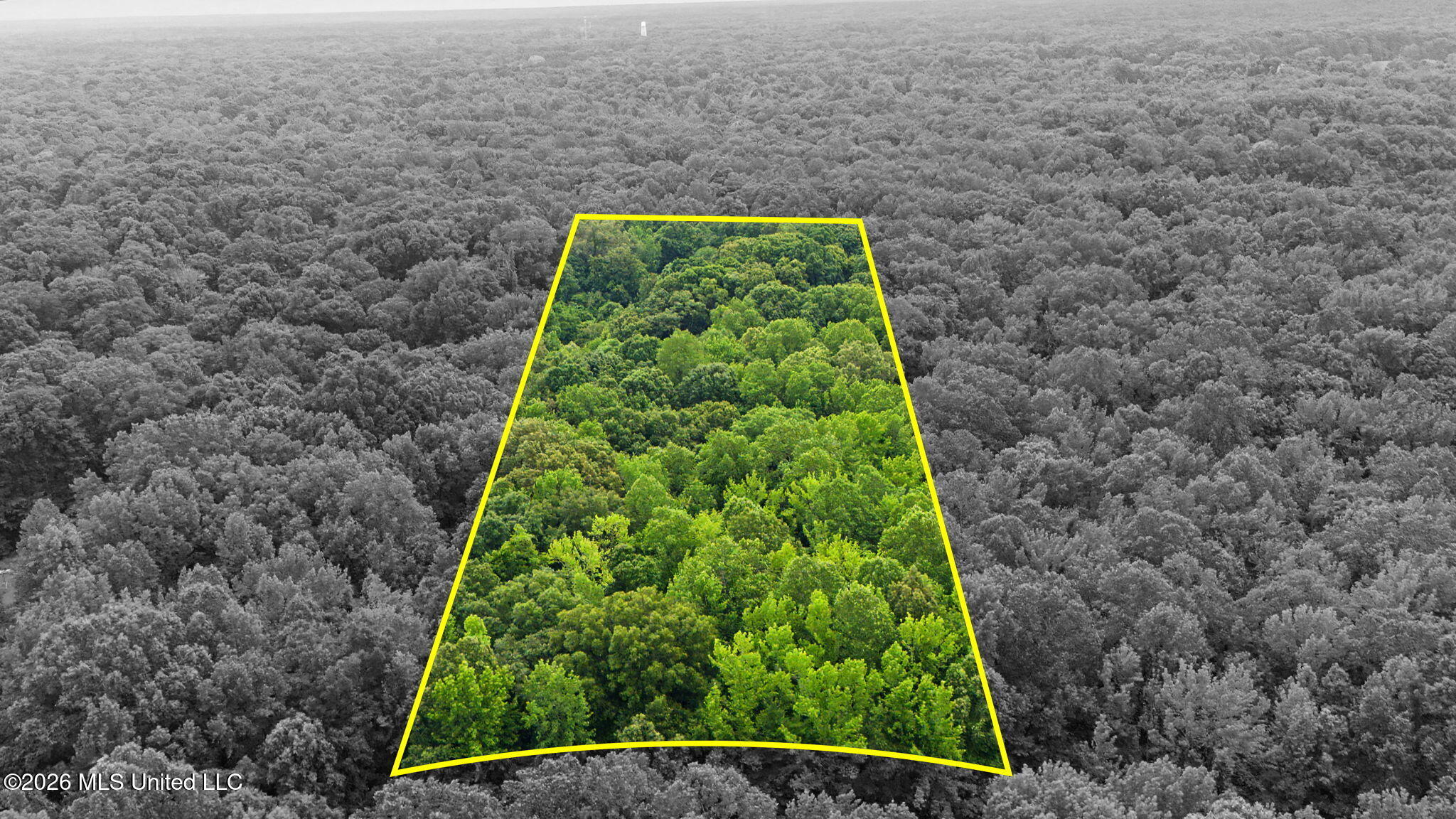 Tanyard Road Hernando, MS 38632 - Photo 1 of 13 2-web-or-mls-Tanyard Rd-2