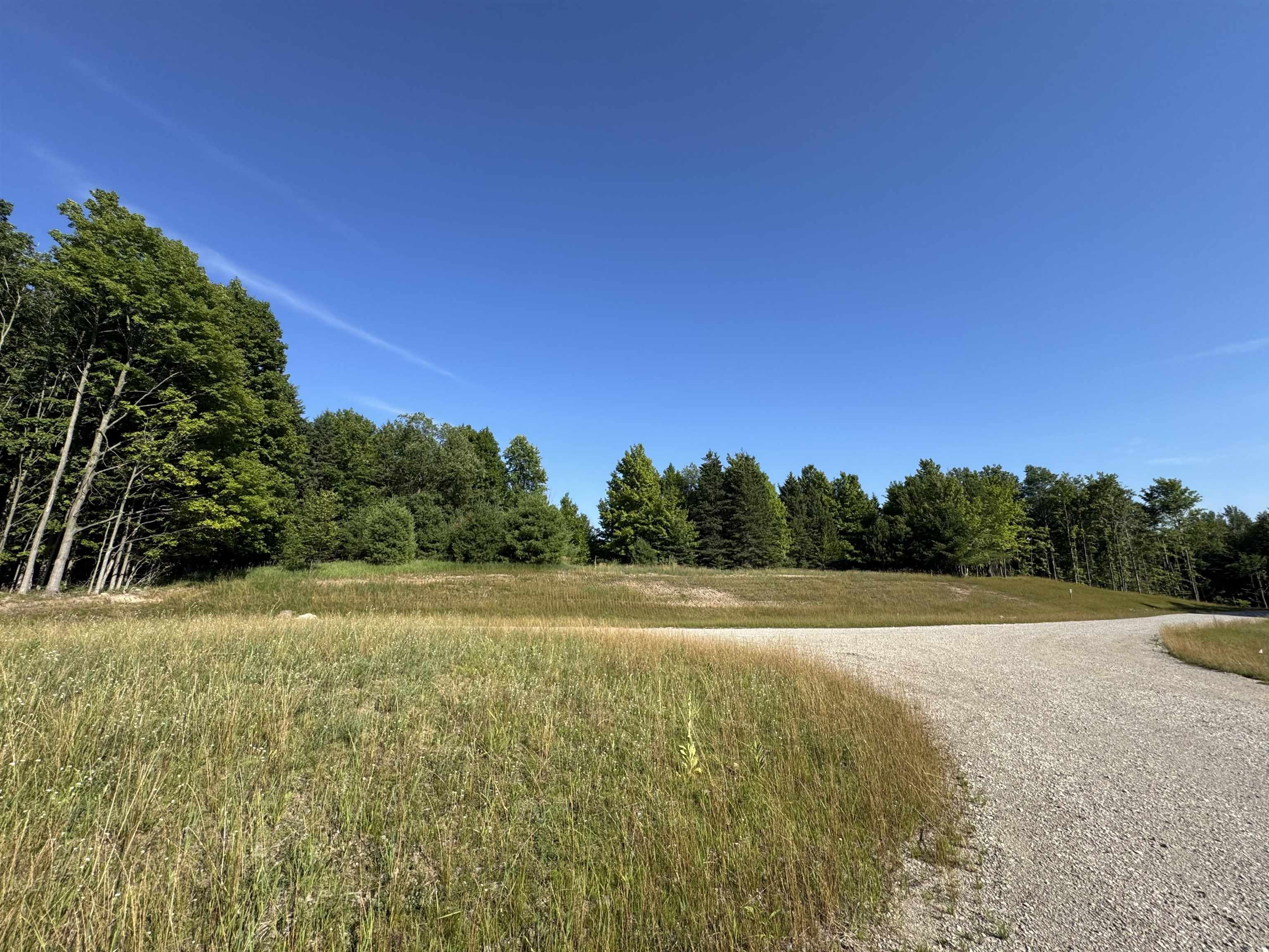 Lot #6 East Bellinger Road Cedar, MI 49621 - Photo 6 of 38 1948121-b0275127-fecc-421a-a86d-8f672979cebf.JPG