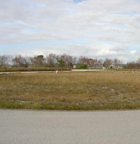 Sawgrass Run Tavares, FL 32778 - Photo 1 of 18 a view of a lake from a yard