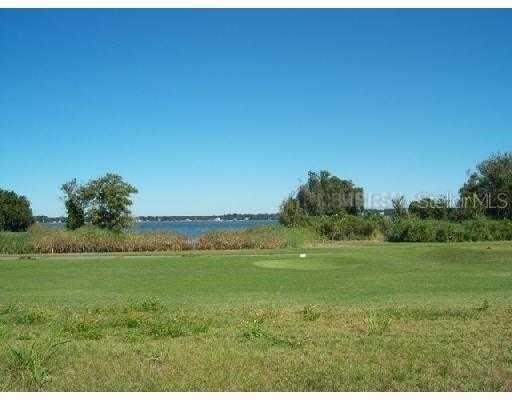 Sawgrass Run Tavares, FL 32778 - Photo 4 of 18 a big yard with lots of green space
