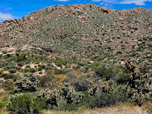 $52,000 | 0 Brawley Avenue, Jacumba, CA 91934