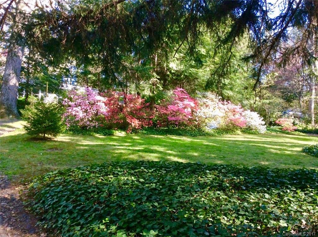 6 Huntington Road Asheville, NC 28805 - Photo 23 of 24 Gallery Image 23