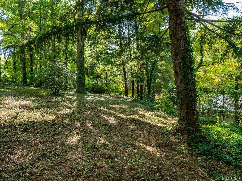 6 Huntington Road Asheville, NC 28805 - Photo 24 of 24 Gallery Image 24
