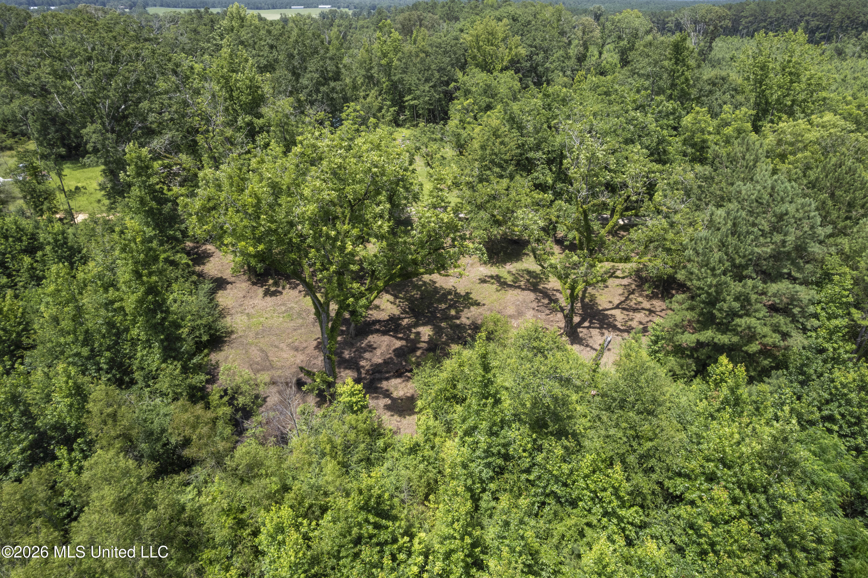 13 Co Road Louin, MS 39338 - Photo 28 of 29 DJI_0330