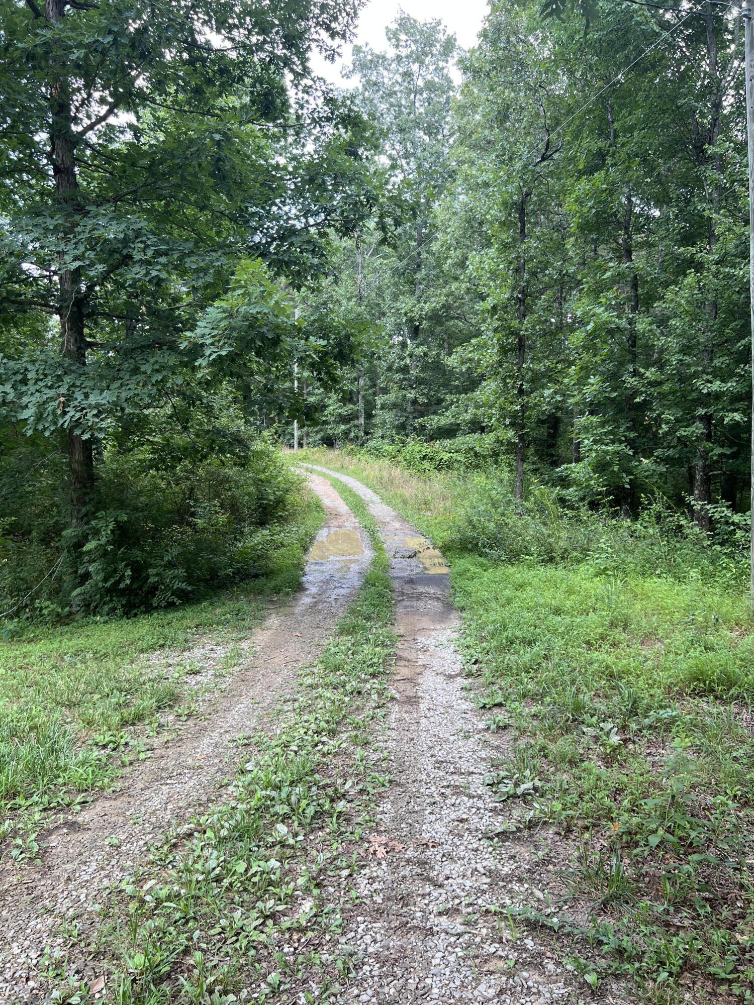 385 Cagle Road Trenton, GA 30752 - Photo 6 of 10 IMG_8193