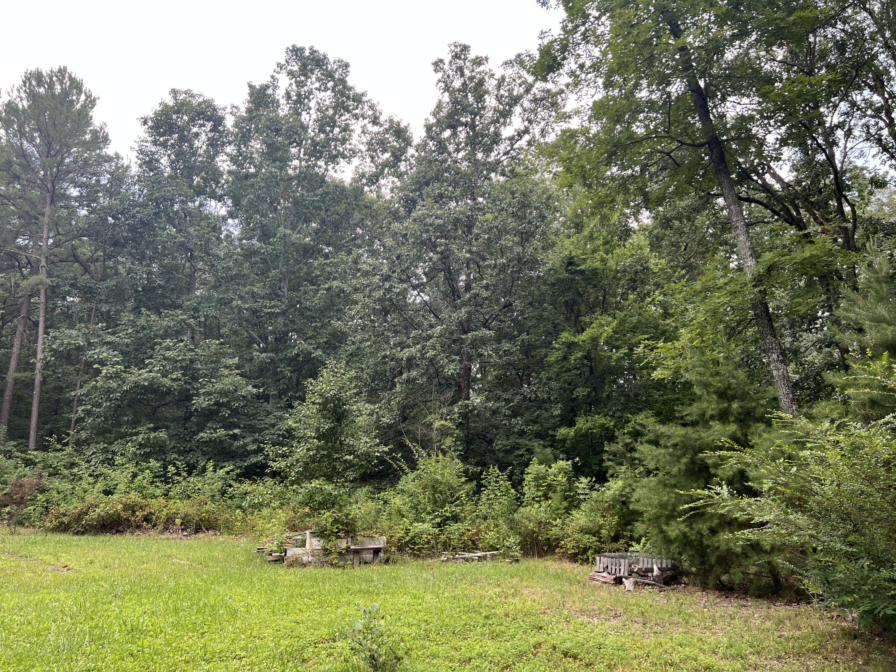 385 Cagle Road Trenton, GA 30752 - Photo 8 of 10 IMG_8191