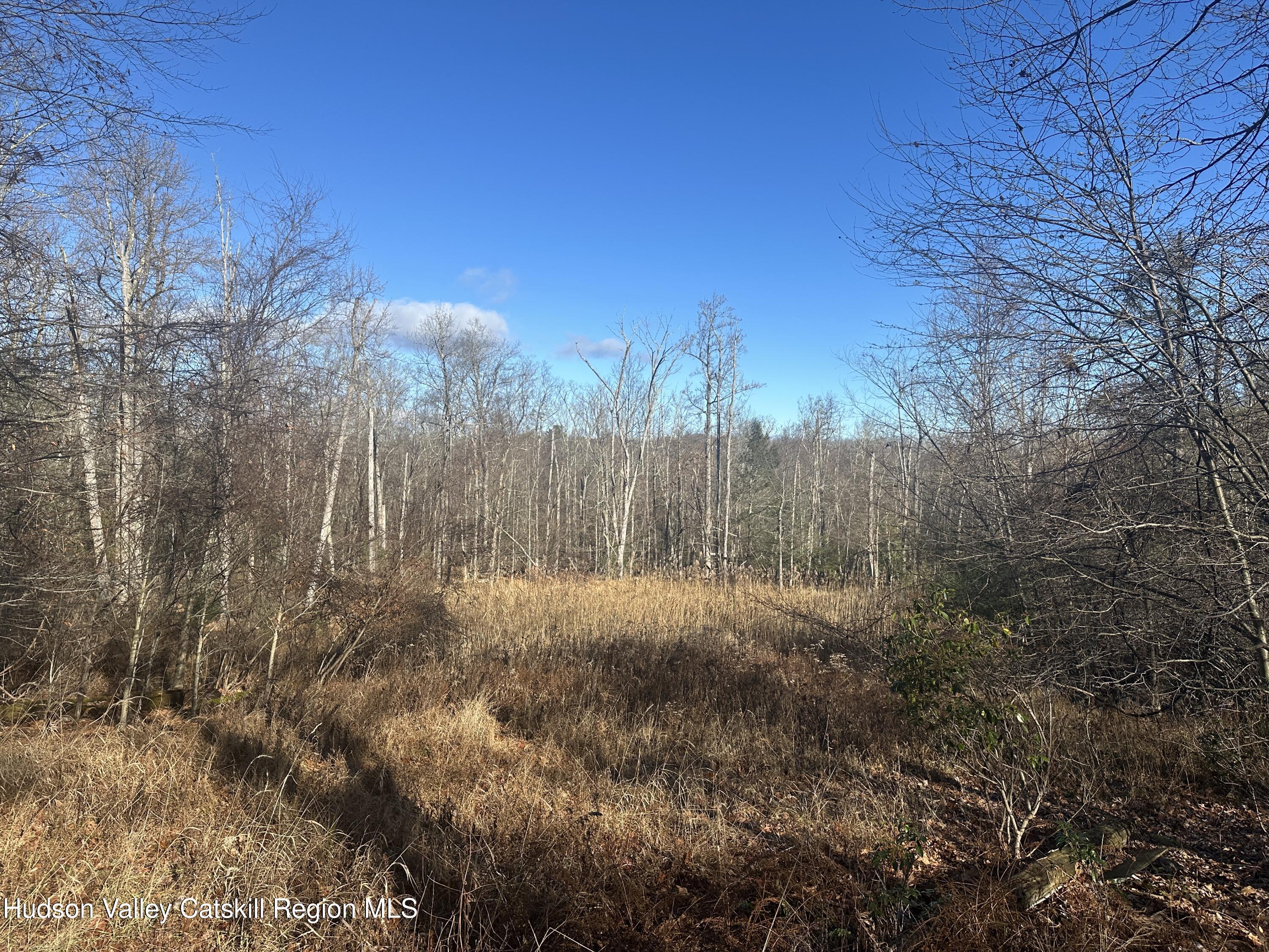 Tbd Oak Ridge Road Greenfield Park, NY 12435 - Photo 5 of 8 IMG_6550 (1)