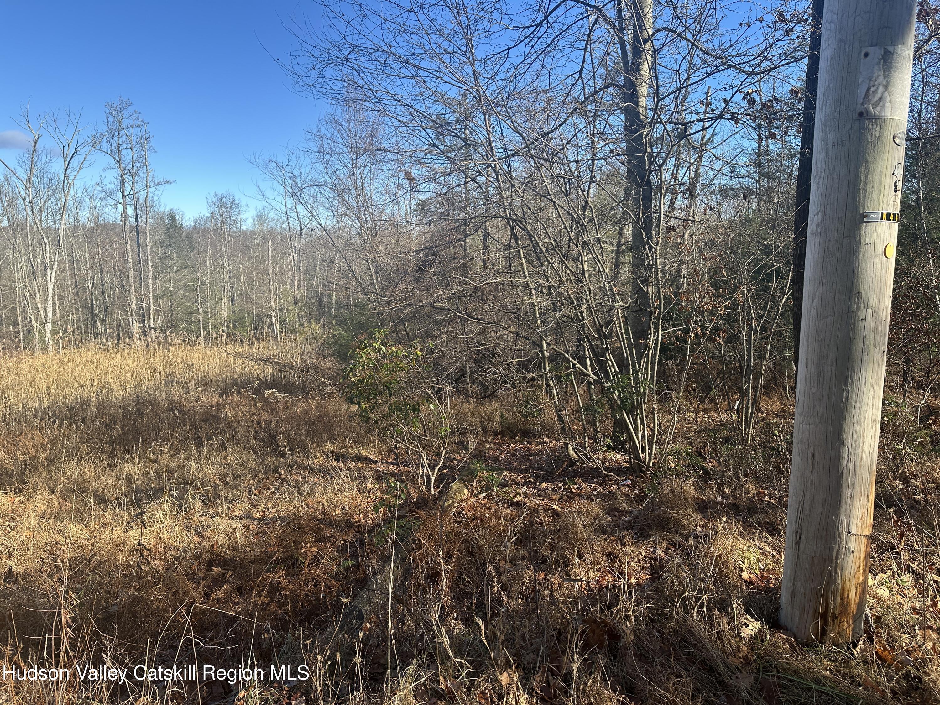 Tbd Oak Ridge Road Greenfield Park, NY 12435 - Photo 6 of 8 IMG_6551 (1)