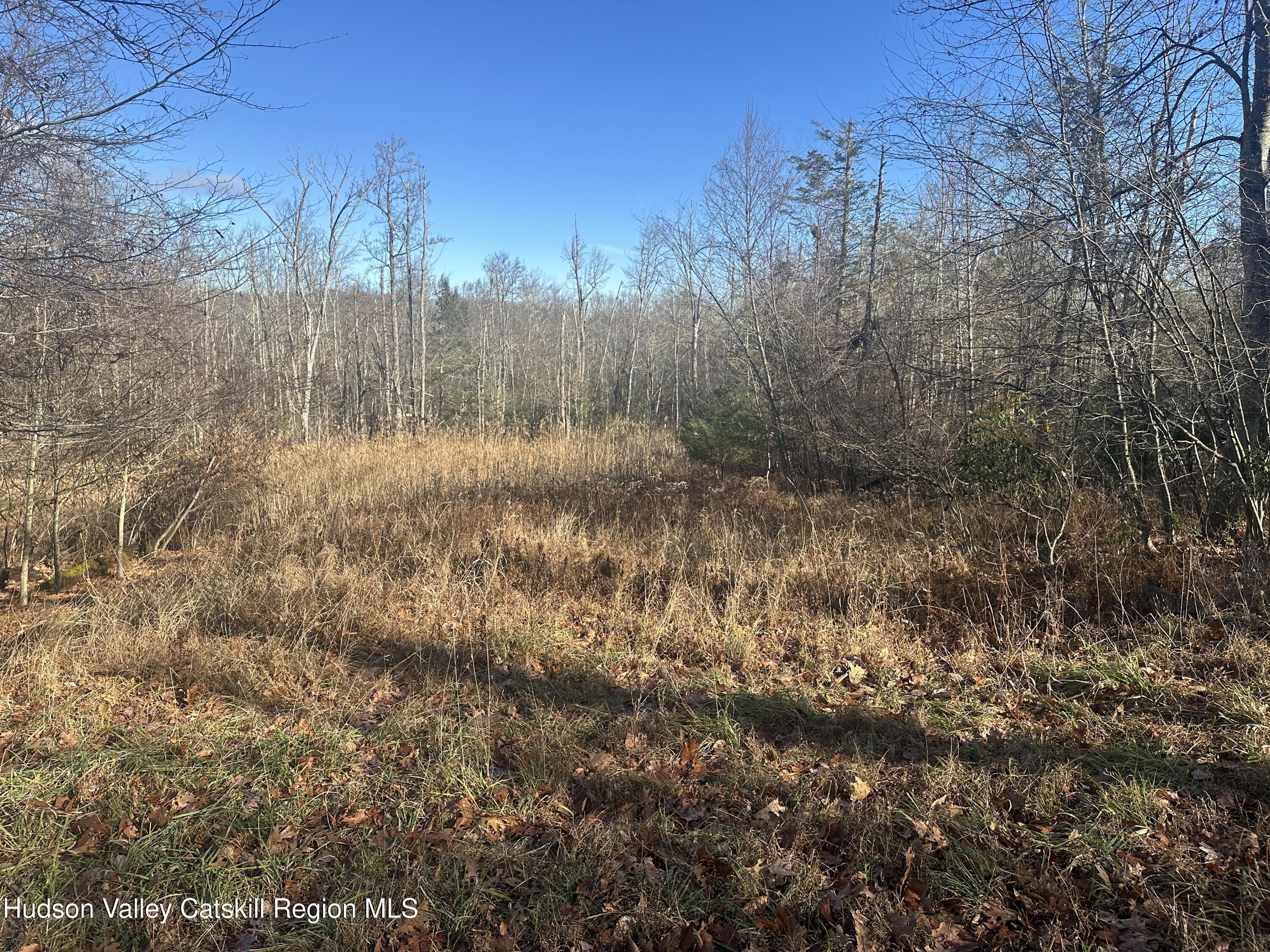 Tbd Oak Ridge Road Greenfield Park, NY 12435 - Photo 7 of 8 IMG_6552 (1)