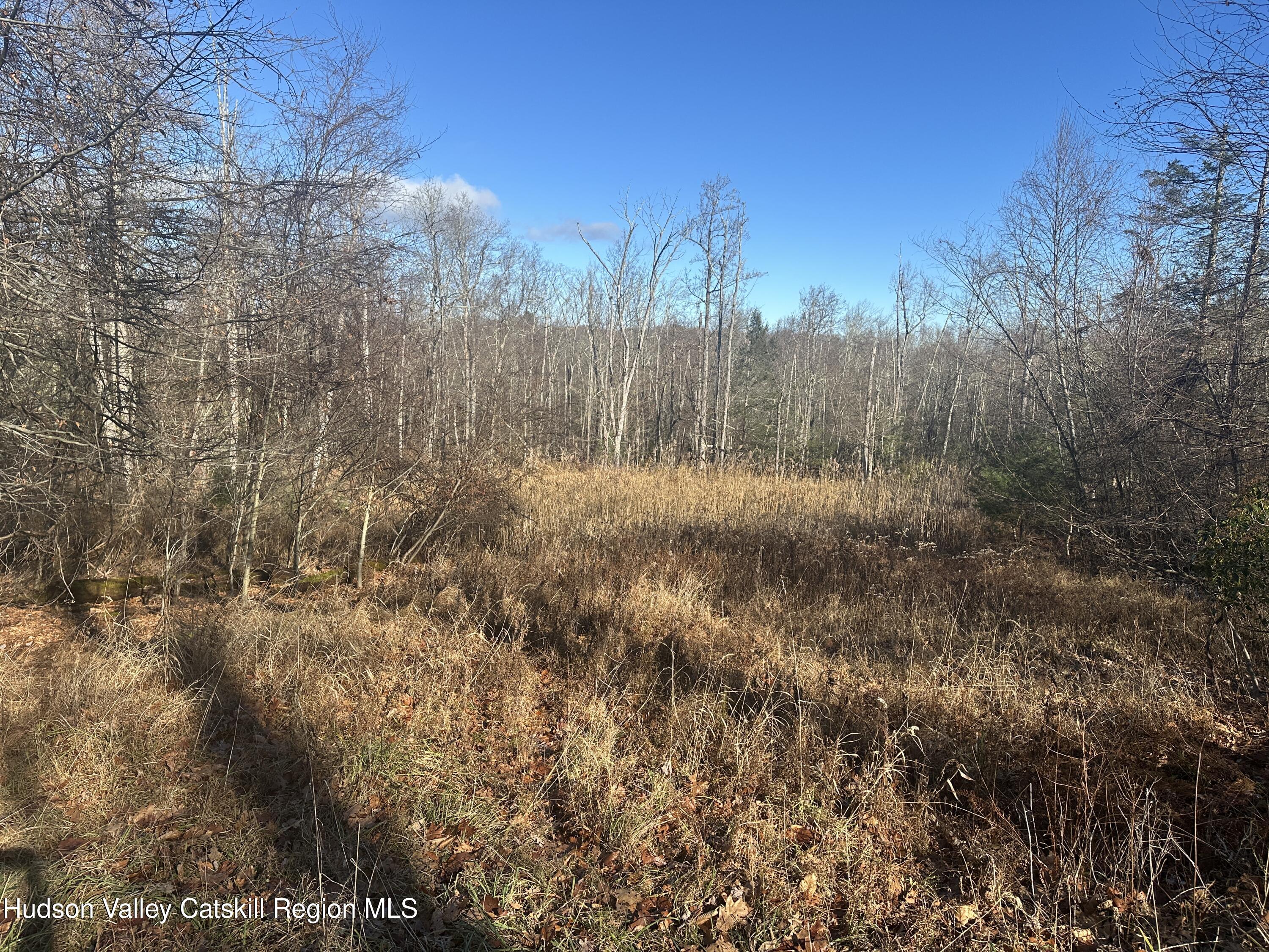 Tbd Oak Ridge Road Greenfield Park, NY 12435 - Photo 8 of 8 IMG_6553 (1)