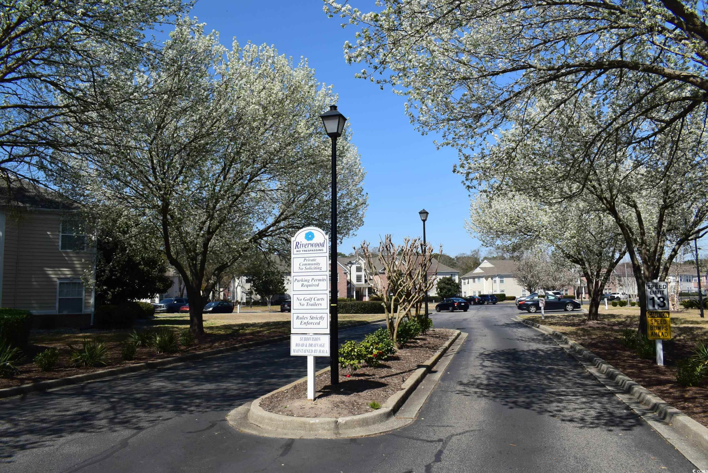 4300 Lotus Court, Unit G Murrells Inlet, SC 29576 - Photo 26 of 27 View of road featuring street lights, curbs, and a residential view