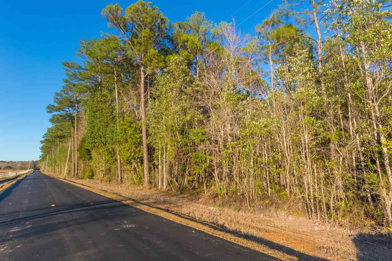 24570 Miflin Road Elberta, AL 36530 - Photo 11 of 15