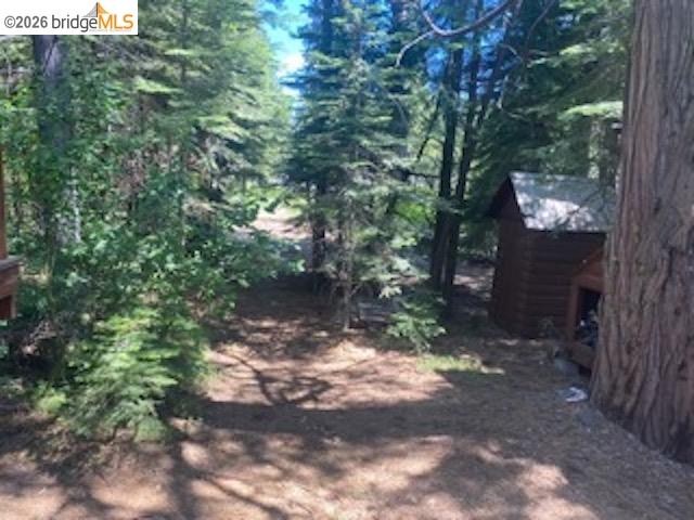 26591 Snow Bowl Road Long Barn, CA 95335 - Photo 36 of 38 a view of a forest filled with trees