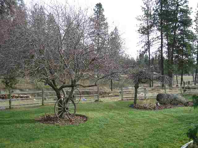 9325 South Thomas Mallen Road Cheney, WA 99004 - Photo 3 of 9